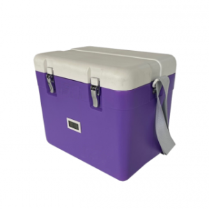Box ZKML