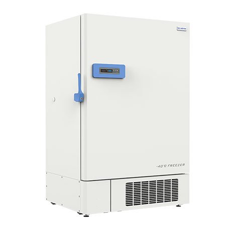 DW FL1008 2