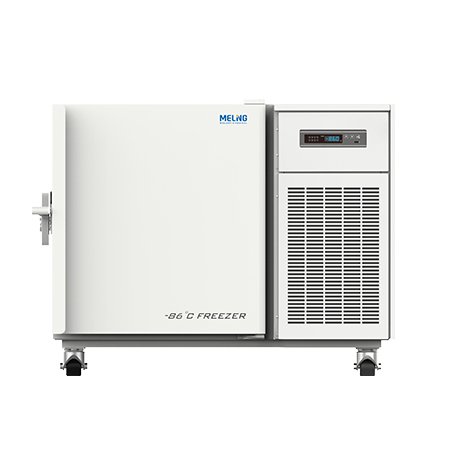 DW HL100 1