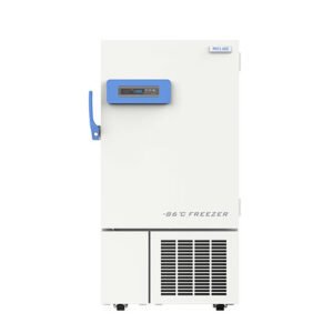 DW HL218 1