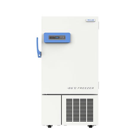 DW HL218 1