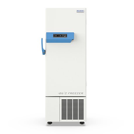 DW HL3 3