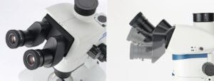 Estereomicroscopio Sunny Optical Technology SZX12 sobre fondo blanco