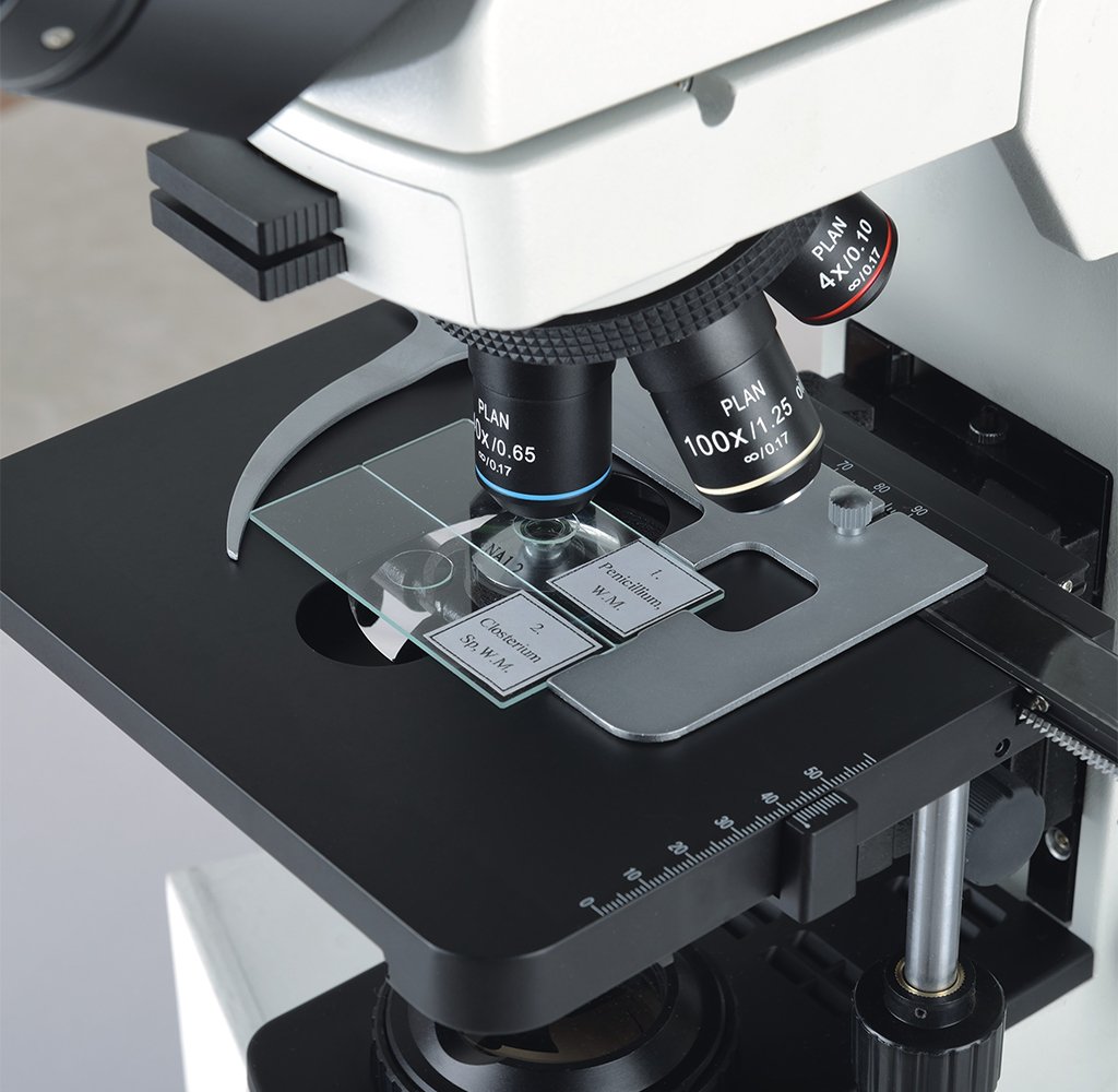 Microscopio Fluorescencia CX40 base