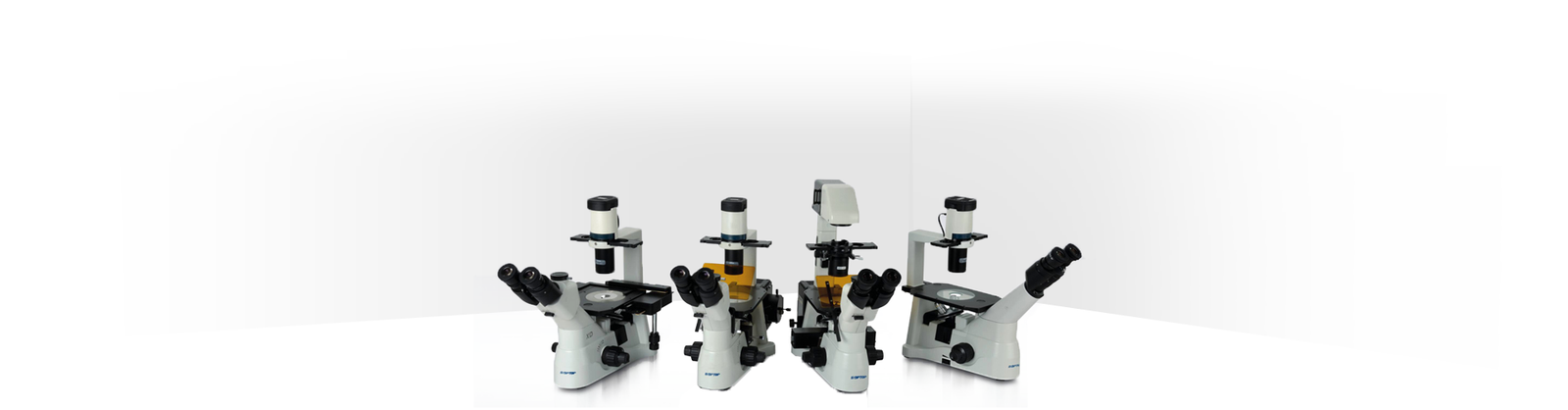 Microscopio Invertidos XD