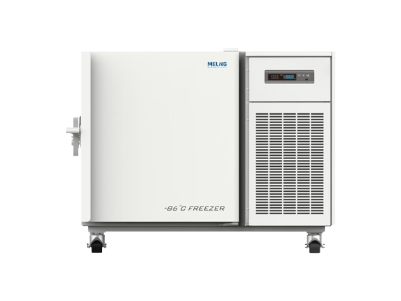 DW-HL100 1