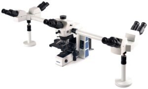Microscopio Biológico de Múltiples Observadores RX50DO3 y RX50DO5 de Sunny Optical Technology sobre fondo blanco