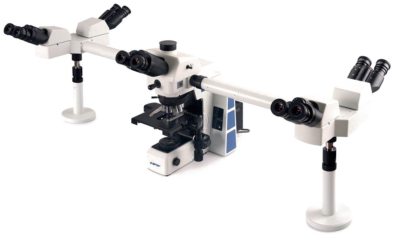 Microscopio biológico de múltiples observadores Sunny Optical Technology RX50DO3 y RX50DO5