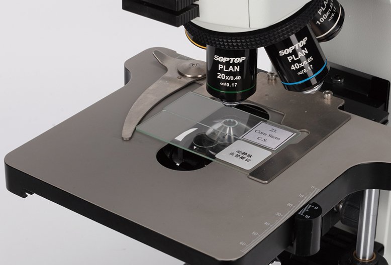 Platina y objetivos del microscopio CX40 de Sunny Optical Technology