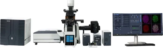 Microscopio confocal de barrido láser Sunny Optical CLSM